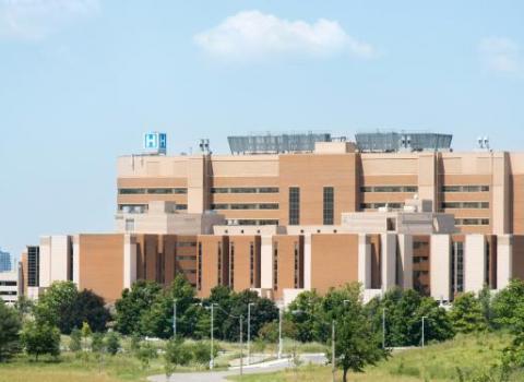 Victoria hospital jobs london on
